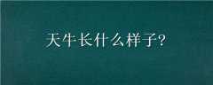 ţʲô?