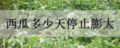 ϶ֹͣ