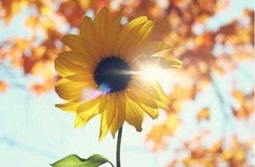 ʺϷȦ˵˵˸о