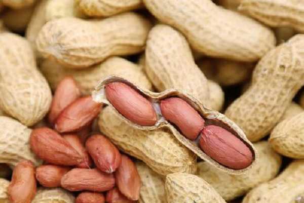 �Ϸ�������ֲʱ�� �＾���·���ֲ��