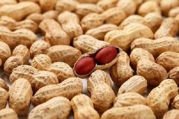 �Ϸ�������ֲʱ�� �＾���·���ֲ��