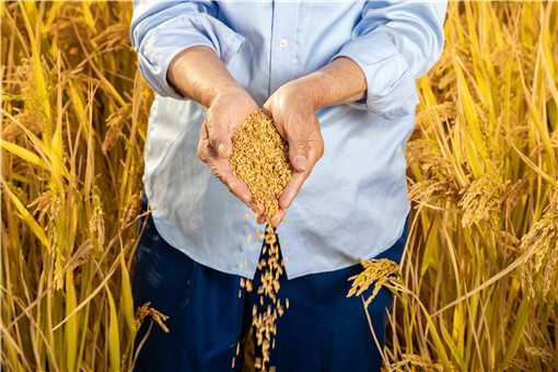 驻村第一书记主要职责