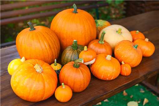 �Ϲ�ʲôʱ����ֲ