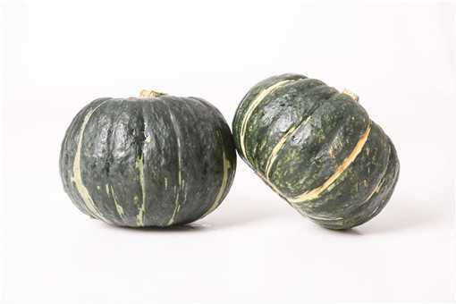 �Ϲ�ʲôʱ����ֲ