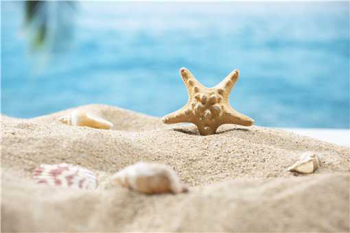 �����Ǽ�����������