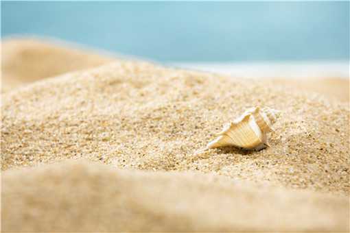 �����Ǽ�����������