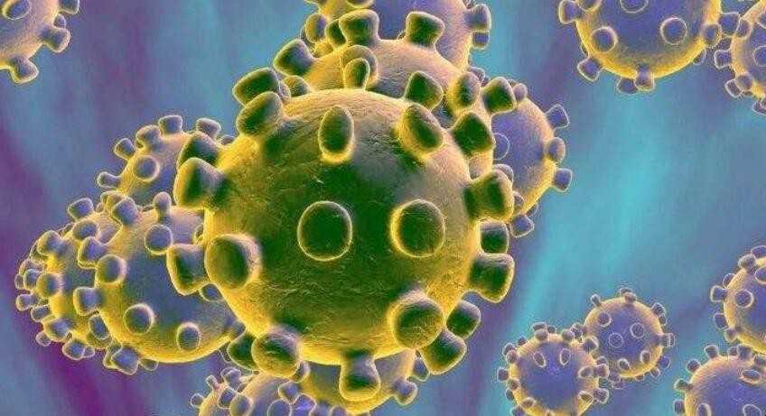 如何预防新型冠状病毒感染