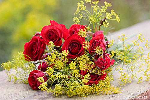 �յ��ʻ����ļ�̾���