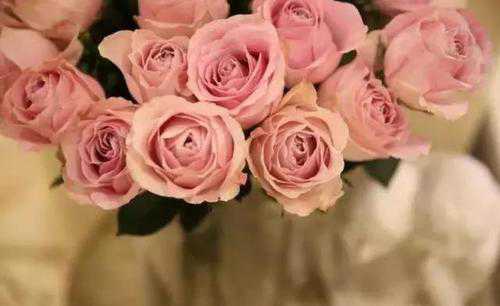 收到花怎么发感谢说说