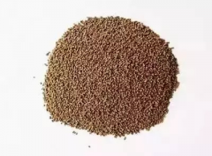 Ϻʲô