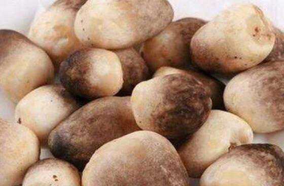 �ݹ���Ӫ����ֵ �ݹ��Ľ�������Щ