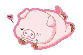 95猪和93鸡相配婚姻如何