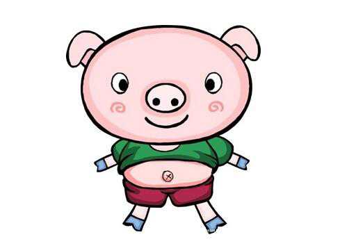 95猪和93鸡相配婚姻如何