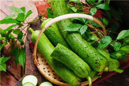 丝瓜什么季节吃最好