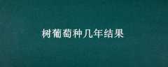 ּ