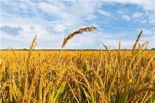 �ӽ�ˮ��ʲôʱ������