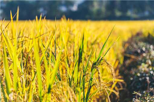 �ӽ�ˮ��ʲôʱ������