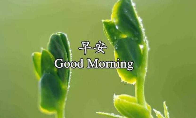 簲ܰľЩ