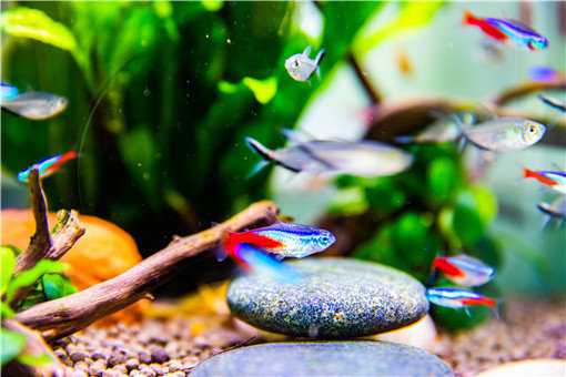 ������ΪʲôҪ����