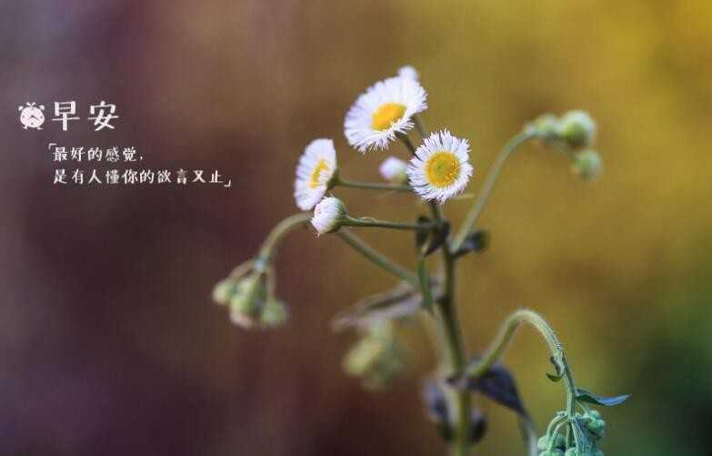 簲Щ