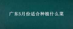 㶫5·ʺֲʲô