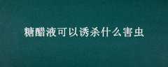 ǴҺɱʲô