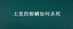 ĸɱ