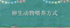 ιʽ
