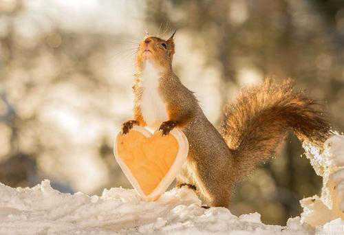 关于爱情的英文短句