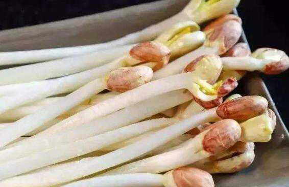 ����ѿ��ô�������� ���ƻ���ѿ��ȫ����