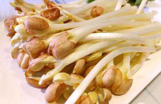 ����ѿ��ô�������� ���ƻ���ѿ��ȫ����