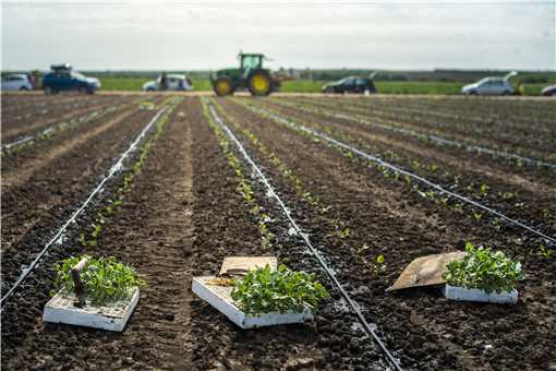 设施农业用地最新政策2021