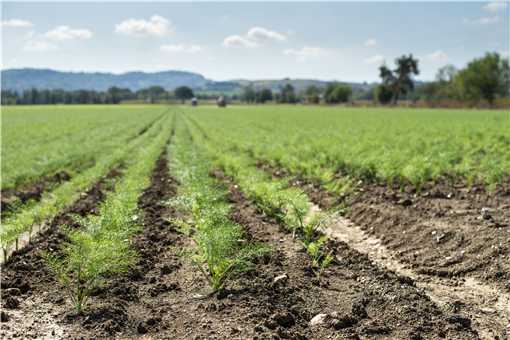 设施农业用地最新政策2021