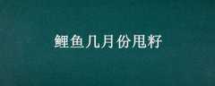 㼸·˦