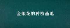 ֲ