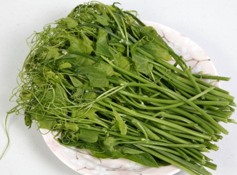 ����˵��������������� �����������Ҫʲôע��ʲô