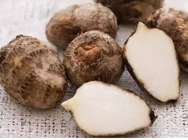 ��ֲ��ͷҪ�೤ʱ�� ��ͷ����������Ҫ��