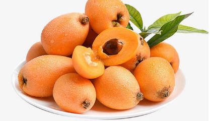 ���˸߲���ֲ��������Ҫ�� ������ô��ֳ�ܸ߲�