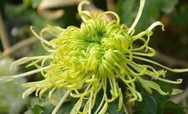 �ջ���ô�޽� �ջ���ô���������ÿ�