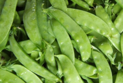 ������������ʱ�䣬������Ӧ�ú�������ô��ֳ