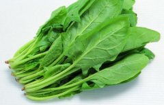 ��ֲ����Ҫ��ν��֣����ֺ��ָ������ֲ