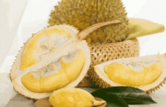 ��ֲ����Ҫע���Ҫ�����������Ӧ�ú�������ô��ֳ