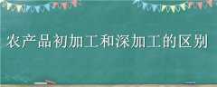 ũƷӹӹ