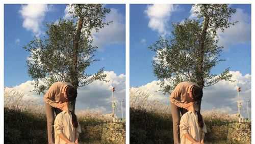 ׷Ů8·