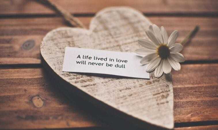 ں<a href='https://www.yangji120.com/life/list-93/' target='_blank'><u></u></a>Щ
