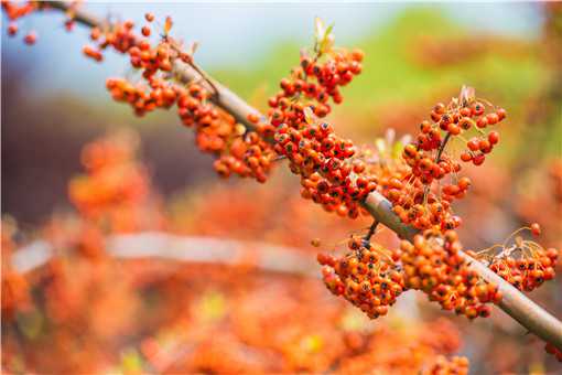 ������������һ��ˮ��