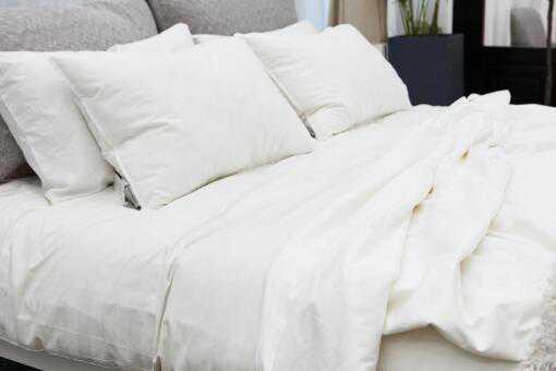 去跳蚤最简单的方法