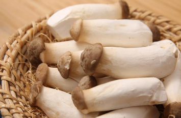 �ӱ�������Щ��Ч���� �ӱ��������ڹ���Ҫ��