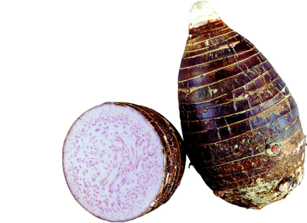 ������ô�ֺ� �������ʩ��