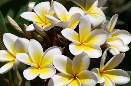 ����ü������࿪�� ��������ô��ˮ����